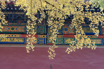 Roof of the Forbidden city building behind green and yellow leaves