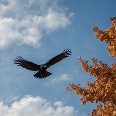 Picture a crow flying across an autumn sky, its wings cutting through the cool breeze.