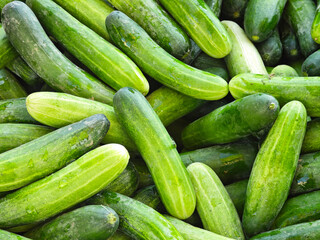 Cucumbers in the fresh market