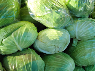 Obraz premium Fresh cabbage at the market