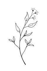 Trendy floral branch and minimalist flowers for logo or decorations. Hand drawn line wedding herb, elegant leaves for invitation save the date card. Botanical rustic trendy greenery