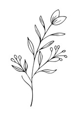 Trendy floral branch and minimalist flowers for logo or decorations. Hand drawn line wedding herb, elegant leaves for invitation save the date card. Botanical rustic trendy greenery