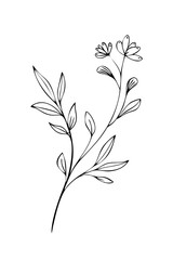 Trendy floral branch and minimalist flowers for logo or decorations. Hand drawn line wedding herb, elegant leaves for invitation save the date card. Botanical rustic trendy greenery