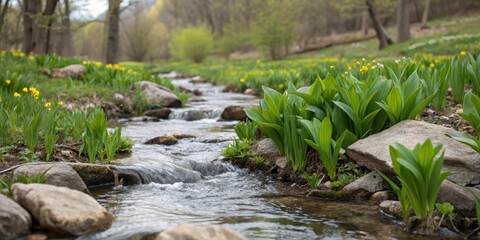 Serene woodland stream flowing gently over rocks, bordered by vibrant green plants and cheerful yellow wildflowers