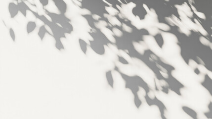 Abstract Shadow of Natural Tree Leaves on a White Wall Background, Aesthetic Visual for Decor or Inspiring Imagery