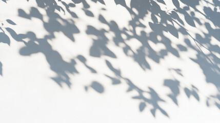 Abstract Shadow of Natural Tree Leaves on a White Wall Background, Aesthetic Visual for Decor or Inspiring Imagery