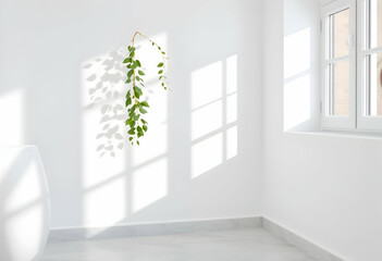 Minimalist white room, hanging plant, sunlight through window, shadows on wall, empty space, clean aesthetic, bright interior, modern design, simplicity, tranquil atmosphere, pothos plant, natural lig