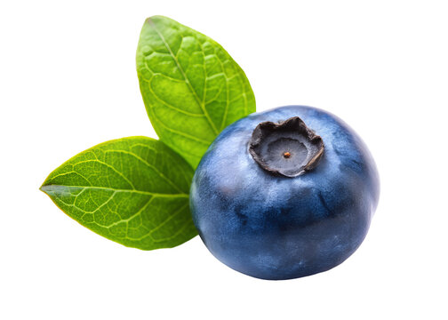 blueberries clipart image on transparent background