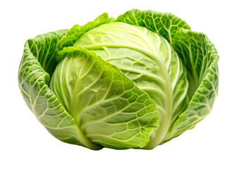 Obraz premium fresh cabbage clipart image on transparent background
