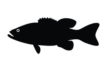 Bass fish silhouette vector design isolated on a white background