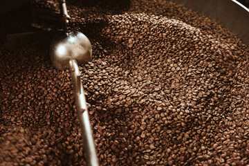 Freshly Roasted Coffee Beans in a Roasting Machine for Maximum Flavor and Aroma