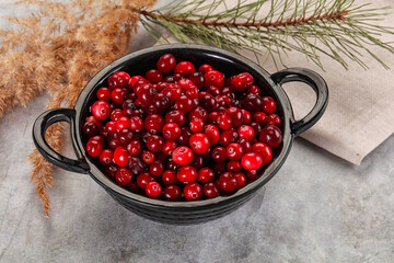 Ripe sweet sour cranberry heap