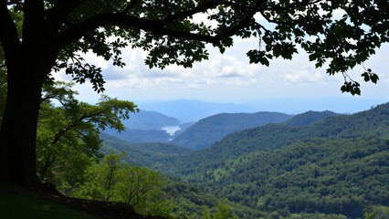 Obraz premium Majestic Mountain Vista Through Silhouetted Tree Branches
