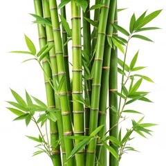 Vibrant Green Bamboo Cluster Close-up Composition of Lush Stalks and Leaves, Nature Photography, Serenity Concept. Bamboo, Nature