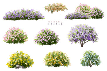 Vertor set of spring blossom tree,blooming plants side view for landscape elevation and section,eco environment concept design,watercolor meadows illustration,colorful season