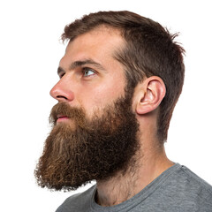 A Man with Long Beard Side Profile View, Stylish Beard Growth Grooming Closeup Transparent Or White Background, Png Cut Out