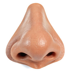 Close Up Of A Human Nose Isolated On White Background