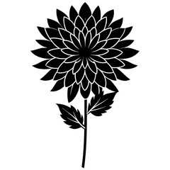 black and white flower