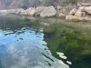 Paddle boarding along the green water of Willow Beach AZ/NV.