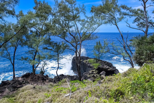 La Reunion island, seascape at Sainte-Rose, palm trees on the coast, with solidified lava flow
