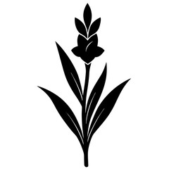 black and white flower