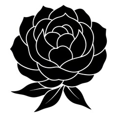 illustration of a rose