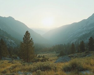 Obraz premium Serene sunrise over a misty mountain valley.