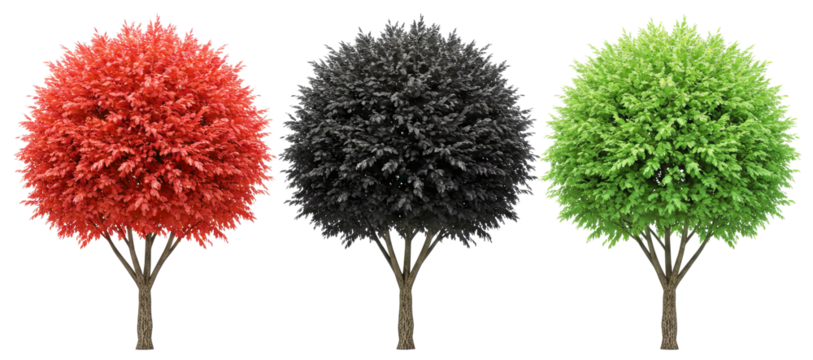 Symbolic tree with red, black, and green leaves, symbolizing growth and resilience. Black History Month