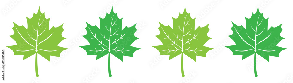 Wall mural set of flat maple leaf shape icons isolated. maple leaf icon set in green color. forest and wood sig