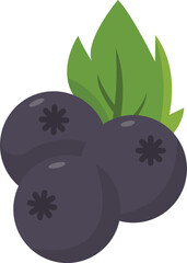 Elderberry Fruit Cartoon Ilustration Design