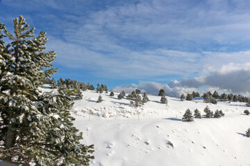 Belle neige sous le soleil
