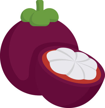 Mangosten Fruit Cartoon Ilustration Design