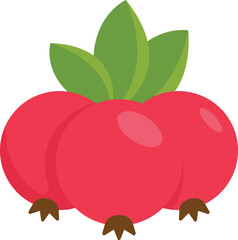 Redcurrant Fruit Cartoon Ilustration Design