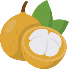 Santol Fruit Cartoon Ilustration Design