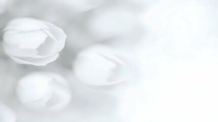 Soft White Flowers Blurred Background Creates a Dreamy and Ethereal Mood with Delicate Petals