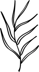 leaf line art decoration vector