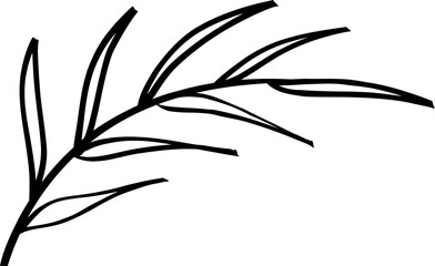 leaf line art decoration vector