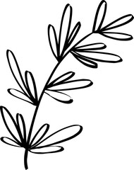 leaf line art decoration vector