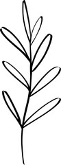 leaf line art decoration vector