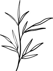 leaf line art decoration vector