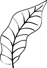 leaf line art decoration vector