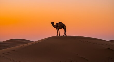 A lone camel standing atop a sand dune under a vibrant orange sky
