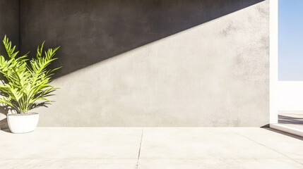 Modern minimalist design featuring a potted plant and concrete wall with dynamic shadows