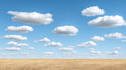 Obraz premium Bright blue sky with fluffy clouds over golden grassland, creating serene landscape