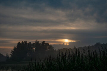 Sunset, twilight on a forest lake. Night landscape