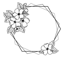 Vector frame with flowers jasmine, apple. Round, oval, triangle, square Borders decorated with hand drawn delicate flowers, branches, leaves, flower. Vector illustration