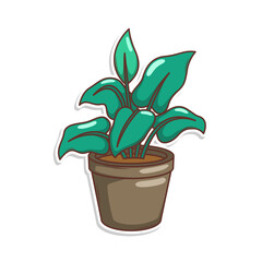 Home plant cartoon style. potted plant isolated on white

