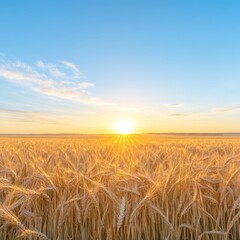 Golden Wheat Field at Sunset