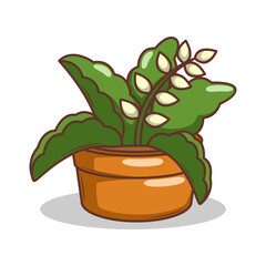 Home plant cartoon style. potted plant isolated on white

