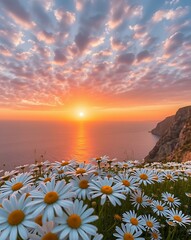 A breathtaking serene coastal landscape with white daisies field on mountain cliff with seascape view against orange hues sunset sky